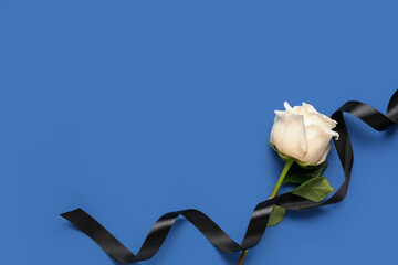 White rose with black ribbon on blue background