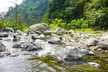 Rocky river water flow with green rice fields on the river side in Muria Mountains, Tempur Village, Jepara Regency, Central Java, Indonesia.