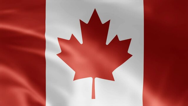 Canada flag is waving 3D animation. Canada flag waving in the wind. National flag of Canada. Flag seamless loop animation 4k.