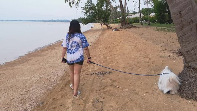 Back view of happy joyful young woman walking on the beach with their dog.