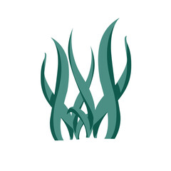 Sea weed Illustration