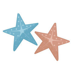 Obraz premium Starfish Illustration