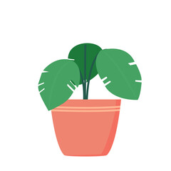 Monstera Plant Illustration