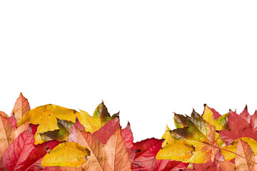 Naklejka na ściany i meble Digital png illustration of colourful leaves on transparent background