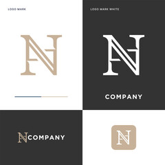 A N Logo Template Vector Icon Illustration Design