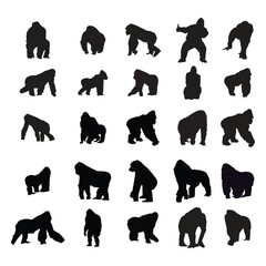 Gorilla silhouettes set on white background.