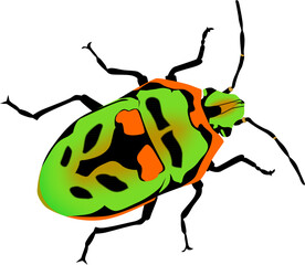 metallic jewel bug vector illustration 