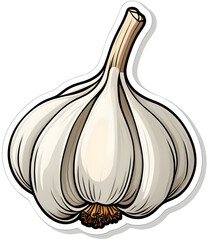 garlic isolated on white background