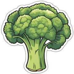 cauliflower isolated on white background