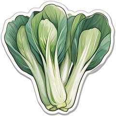 bok choy isolated on white