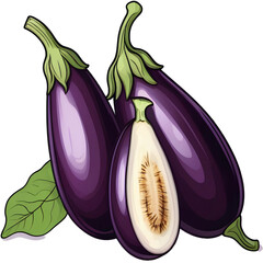 eggplant isolated on white