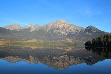 Fototapeta premium reflection in the lake