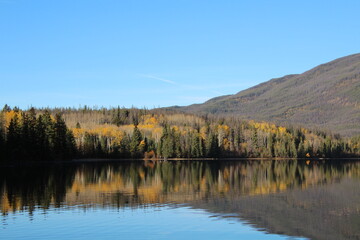 Fototapeta na wymiar Autumn Along The Lake, Jasper National Park, Alberta