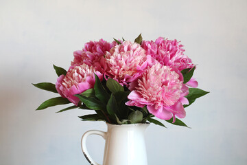 bouquet of pink peonies in a white jug close-up. floral background, natural backdrop.