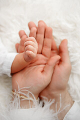 Baby's hand in in the hands of parent. Closeup photo. Happy Family concept. 