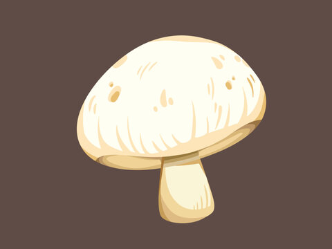 White button mushroom jamur kancing cooking ingredients vector illustration isolated on horizontal brown colored background. Simple flat cartoon art styled drawing.