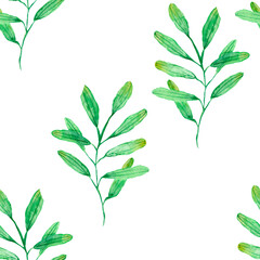 watercolor drawing, seamless pattern with green leaves and twigs