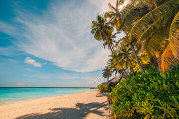 Best tropical beach landscape. Fantastic summer coast, popular vacation destination. Fantastic coco palm trees white sand, soft sunlight sky. Freedom travel amazing sea lagoon, paradise island nature