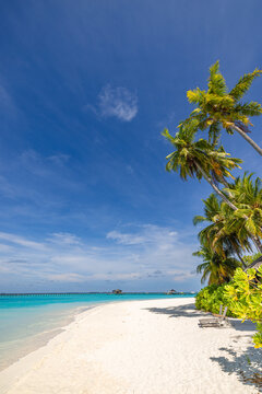Fantastic sunny panorama at Maldives. Luxury resort seascape. Majestic sea waves coconut palm trees sand sunshine sky. Beauty paradise beach popular destination. Best summer vacation travel background
