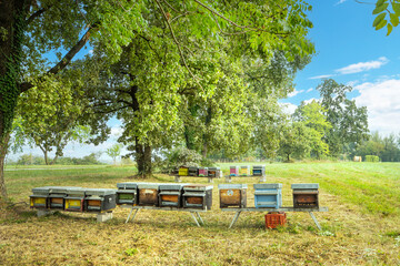 Fototapety na wymiar - Fototapeta24.pl