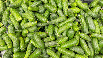 ripe green cucumbers on the counter