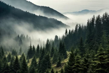 Wandaufkleber Aerial view landscape of Misty foggy mountain hills and forest, Beautiful fresh green natural scenery of hilltop, relax time with greenery tree in the morning. © TANATPON