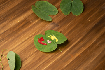 Maa Lakshmi or Godess footprint painted on apta leave. Hindu festival dasara dushera celebration....