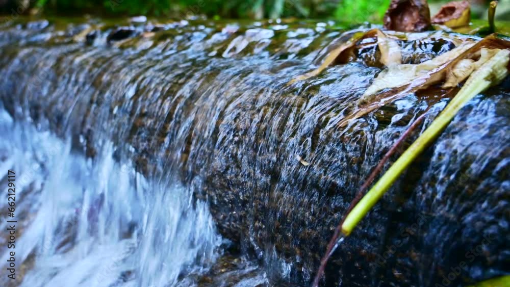 Wall mural Water flows through a small stream in Chiang Mai Province, Thailand.