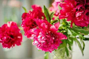 red peony in the vase