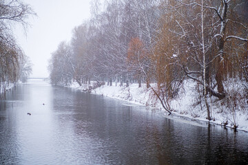 winter landscape of trees on the bank of the river in the park