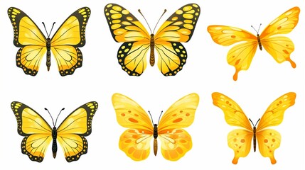 Butterfly vector Yellow isolated butterflies