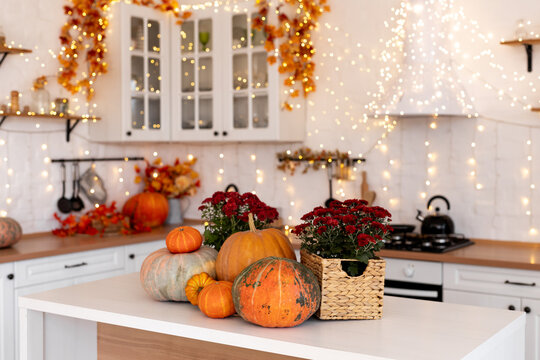 Autumn kitchen interior. Red and yellow leaves and flowers in the vase and pumpkin on light background