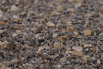 Dry pebbles beach closeup photo