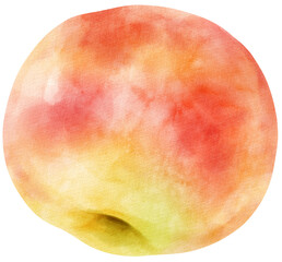 Fototapeta premium Apple fruit watercolor illustration