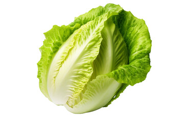Lettuce. isolated object, transparent background