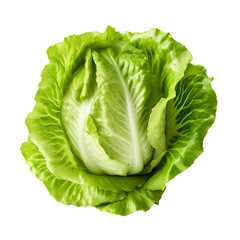 Lettuce. isolated object, transparent background