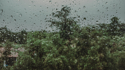 rain drops on the window