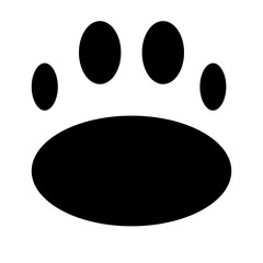 Wild Animals icon illustration in solid style