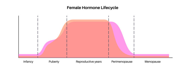 Hormones in pregnancy - 662157125