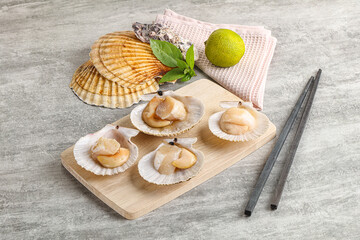 Raw natural scallop in its shell