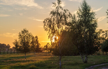Naklejka premium Shot of the beautiful sunset in the village. Nature