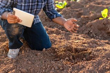 Close up hand of a farmer checking soil health before growth a seed of vegetable or plant seedling....