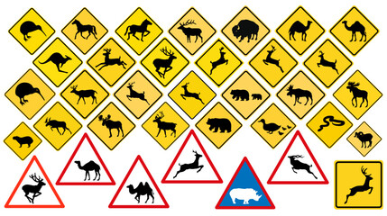 Worldwide Public Animal Road Warning Signs - obrazy, fototapety, plakaty