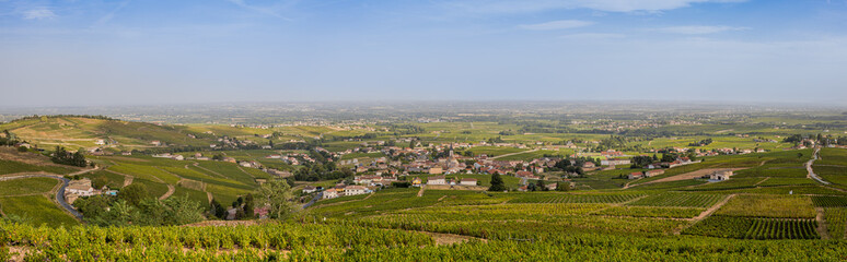 Fototapeta na wymiar Panorama des vignobles depuis la Chapelle de la Madone à Fleurie
