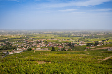 Fototapeta na wymiar Vue sur les vignobles depuis la Chapelle de la Madone à Fleurie