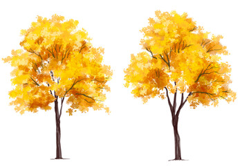 Vector side view ginkgo tree for environment scene in autumn,watercolor tree elevation for landscape concept,environment panorama scene,eco design