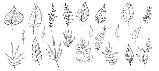 A border of leaves of various vintage plants is a botanical set, hand-drawn. vegetable organic drawing for design. - obrazy, fototapety, plakaty