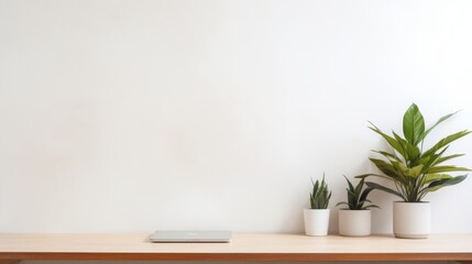 A minimalist office cubicle with a plant on the desk
