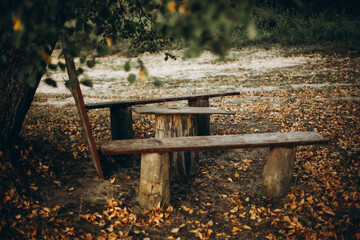 bench in the autumn park