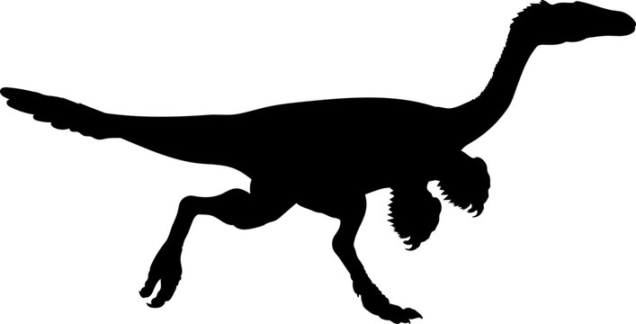 Troodon Dinosaur Silhouette vector Types of dinosaurs breeds